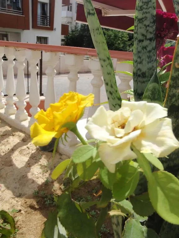 Aloe Apart Hotel Marmaris